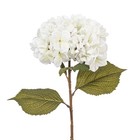 32 5 X 9 White Hydrangea Stem 3 bag