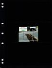  4 75 Scott Value - 2009 Cayman Isl  Tourism Iguanas Caribbean Sea Cv Mnh Nh Umm
