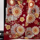 Furisode Height 173 5cm Depth 69cm Square Silk Masterpiece Used Buys-0
