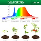 Sansi Led Grow Light Plant Growing Lamp Full Spectrum For Indoor 4000k W timer