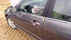 Driver Left Front Door Electric Sedan Fits 03-07 Accord 10282842