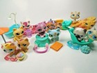 Littlest Pet Shop Lot 5 Random Pcs 2 Cats Plus  3 Accessories Plus A Free Gift