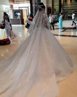 Princess Wedding Dress Long Sleeves Bead Appliques Court Train Ball Bridal Gowns
