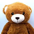 Dan Dee Collectors Choice Brown Teddy Bear Plush Stuffed Animal Soft 21 