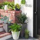 Classic Composite Indoor Outdoor Planter Pot 15 875 x15 875  Cream - Threshold