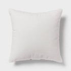 Printed Floral Dec Pillow Euro Brown - Threshold