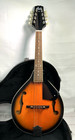 Vtg Stella Harmony 8 String Tsm Mandolin W  Hard Case   2 Chord Books Read Cond 