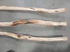 Mn Diamond Willow Carving Blank Debarked Sanded Project Craft Sticks Lot 42-53  