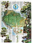     1992-8 August Amazonia World Resource At Risk National Geographic Map - A1 