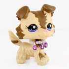 Pet Shop Lps Collie Dog  2210 Toy Action Figures With Necklace Kids Gift Rare