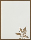 Every Occasion Card - Masculine