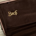 Bach Stradivarius Trombone Case Only