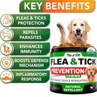 Flea tick Chews For Dogs - With Coconut Oil -skin   Coat Support 120 Soft Chews