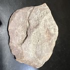 Fern Fossil Natural Rock Form Great Single Priced To Sell