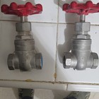 1 2  Stainless Steel Cf8m Gate Valve Class 200 Manual Rising Stem 200 Psi Qty 2