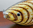 Murano Style Solid Hand Blown Art Glass Triggerfish Brown Beige Stripes 11 In L 