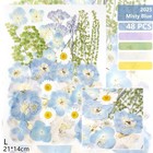 Real Dried Pressed Flowers Leaf Plant Herbarium For Crafts Resin Jewelry Maki   