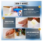 Pet Odor And Stain Eliminator - 32 Oz Active Enzyme Cleaner For Dog   Cat Uri   