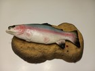 Gemmy - Travis The Trout - Rainbow Trout - Rock The Boat   Do Wah Diddy