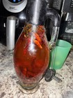 Vntg  Art For Table Glass Infused 3 Chili Vinegar Peppers Bottle Decor W  Lid