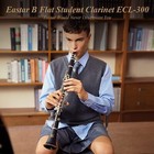 Eastar Ecl-300 B Flat Concert Clarinet Ebonite Nickel-plated With Hard Case Reed