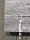 Primitive Barn Wood Door Chippy Paint Panel Farmhouse Decor Iowa Farm 23x33 
