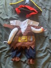Rubie s Walking Pirate Pet Dog Or Cat  Costume  Large