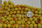 100 Marbles Glass Sea Style Frosted Sweet Peewee Bright Yellow Red 1 2 Sweet Set