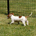 Easypetfence No Dig Dog Fence Kit W gate - Multiple Mesh Types - 6  X 100 