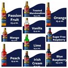 Torani Flavoring Syrup Drink Mix Handcrafted Soda Flavoring 24 5   25 4 Fl Oz