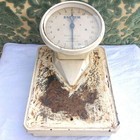 British Vintage Salter Weight Scale Antique Collectible Steel Kitchen Decor