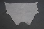 100  New Cowhide Rugs Area Cow Skin Leather  43  X 43   Cow Hide Sa-5377