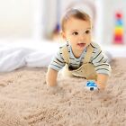Soft Shaggy Carpet Living Room Fluffy Rugs Large Beige Plush Area Rug 