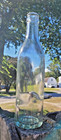 Vintage Antique Clear Glass Water Bottle Absopure W  Anchor Logo Clean Bottle