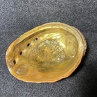 Vintage Natural Abalone Trinket Dish 8  X 6 