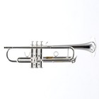 Bach Model Vbs2s  export Model  Professional Bb Trumpet Brand New
