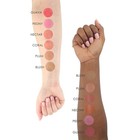 Temptu 60021 S b Silicone-based Airbrush Blush Starter Set - 6 Shades
