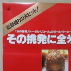 Showgirls 1995  Original Movie Poster A Japanese B2 Elizabeth Berkley