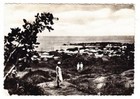 French Oceania Sc 107 single Frank -papeete Ile Tahiti-28 3 41-real Photo