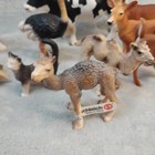 Schleich Animal Figures lot Of 11  Ostrich Buffalo Deer Cow Horse Camel Cat Bull