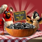 Recipe Selects Black Oil Sunflower Seed Dry Wild Bird Feed  Bird Food  40 Lb 