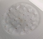 Vintage Mid Century Modern Large Glass Serving Plate Tray Gold Dots