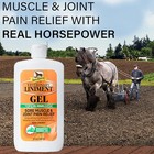 Absorbine Veterinary Horse Liniment Gel Sore Muscle   Joint Pain Relief 12oz