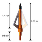 12pcs 100grain Broadheads 3 Blades Arrow Heads Archery With Box Training Hunting