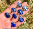 Alluring Lapis Lazuli Gemstone 925 Sterling Silver Plated Coffin Rings Lot