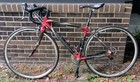 Specialized Ruby Pro Carbon Fiber Road Bike Dura-ace And Ultegra