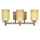 3-light Bathroom Vanity Fixture  Wall Sconce Lighting  Brushed Bronze Finish