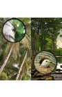 16x52 Monocular Dual Focus Optics Zoom Telescope For Birds