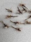 Parachute Adams Flies  16  per Dozn   These Are Best For Trout  Bomb      