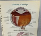 Print Plate Anatomy Of The Eye Atlas Of Normal Anatomy 1956